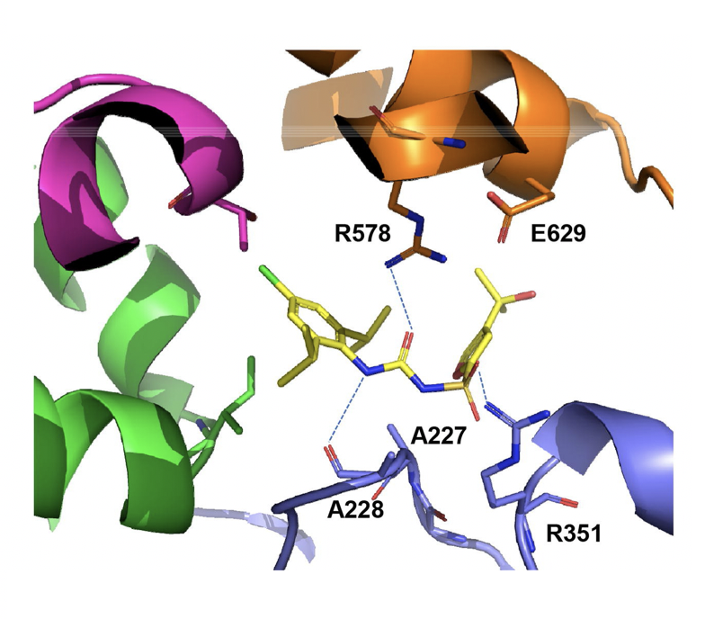 Stuart Schreiber tweet media