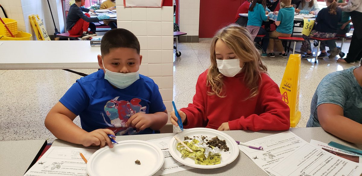 PrincipalSmartz's tweet photo. 3rd grade explored owl pellets! @RBESCardinals https://t.co/JkvIYiKwT3