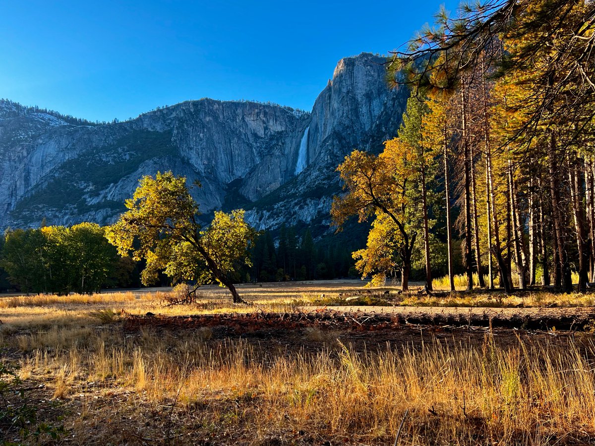 Yosemite Conservancy Yoseconservancy Twitter