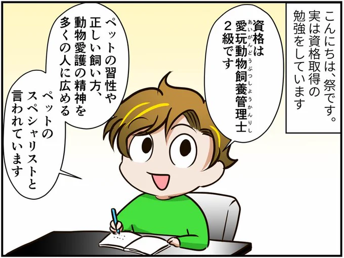 チンチライフ!更新されてます〜やんちゃなチンチラさん、まさかの行動...「資格勉強の刺客か!」【チンチライフ122話】  #チンチラ#chinchilla#エッセイ漫画 #漫画が読めるハッシュタグ 