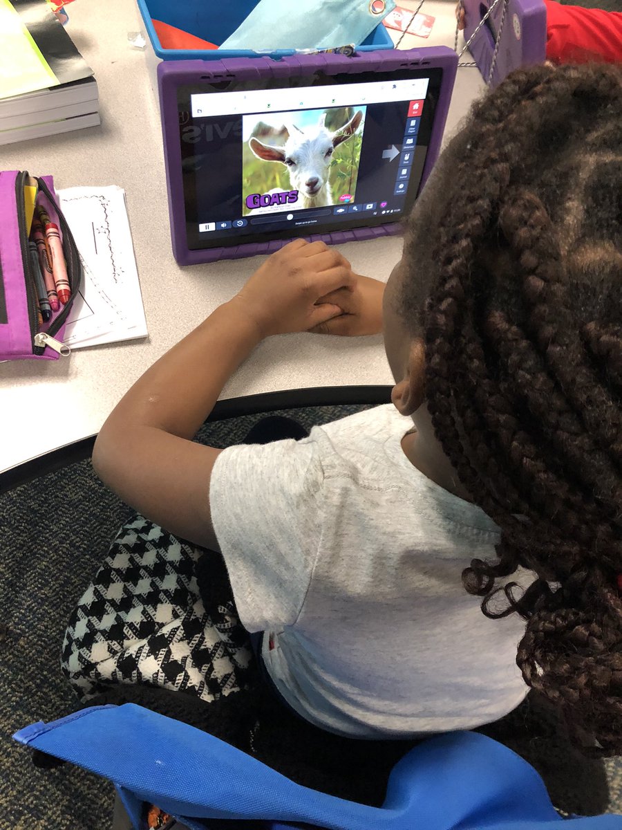 Mason_rm9's tweet photo. Hard at work on our animal research projects!💜 @GCEgators @PrincipalGCE @BoHill24 @WayneTwpSuper https://t.co/6t6CPNyn3Z