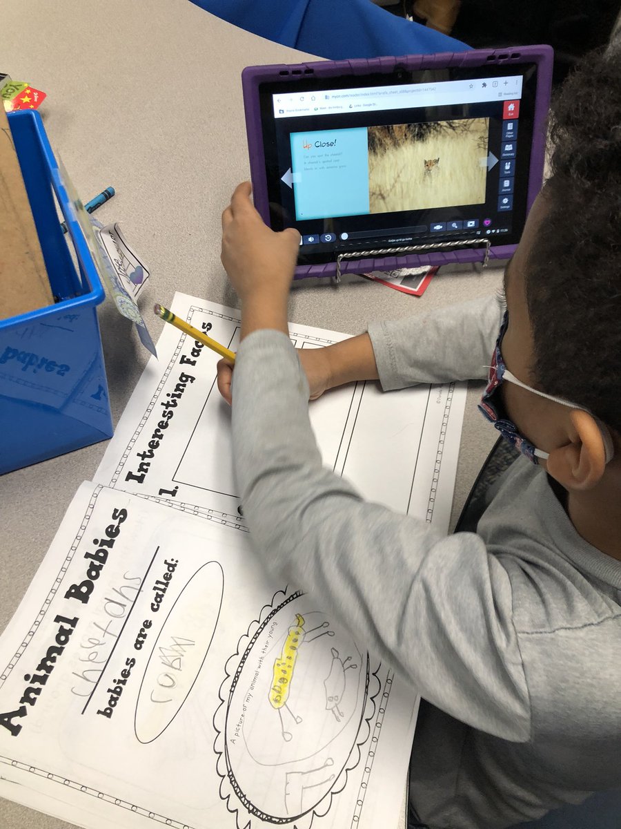 Mason_rm9's tweet photo. Hard at work on our animal research projects!💜 @GCEgators @PrincipalGCE @BoHill24 @WayneTwpSuper https://t.co/6t6CPNyn3Z
