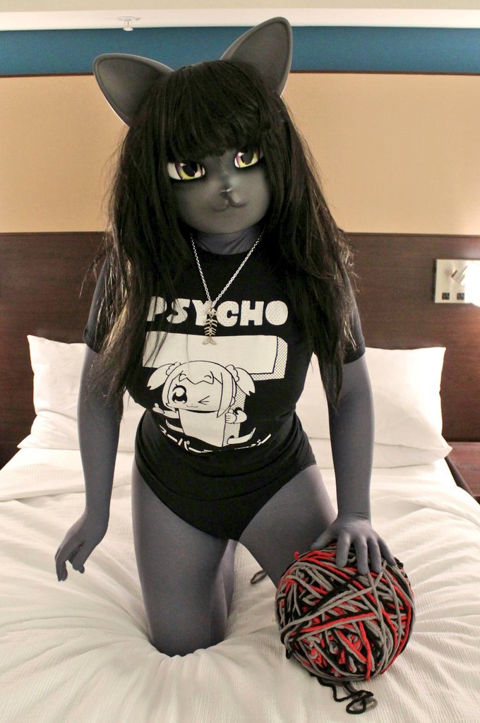 Stacey Kinpatsu on Twitter "NekoNicoKig But we've got a yarn ball toy