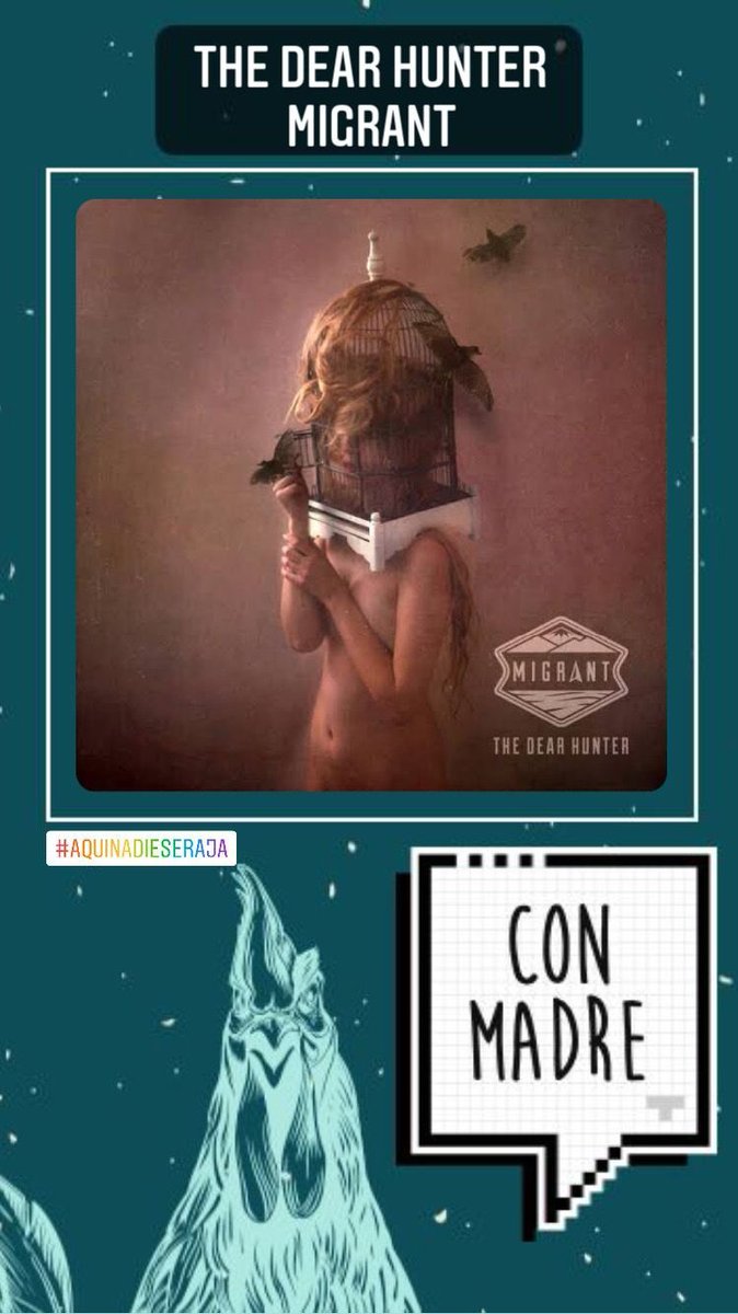 los gallos tweet media