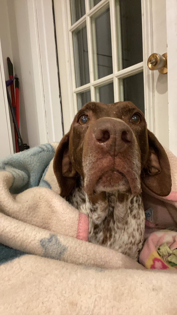 Eggy76052507's tweet image. See any hairs in there?!?👃😳, did my mom get them all? #spottybod #huntingvibes