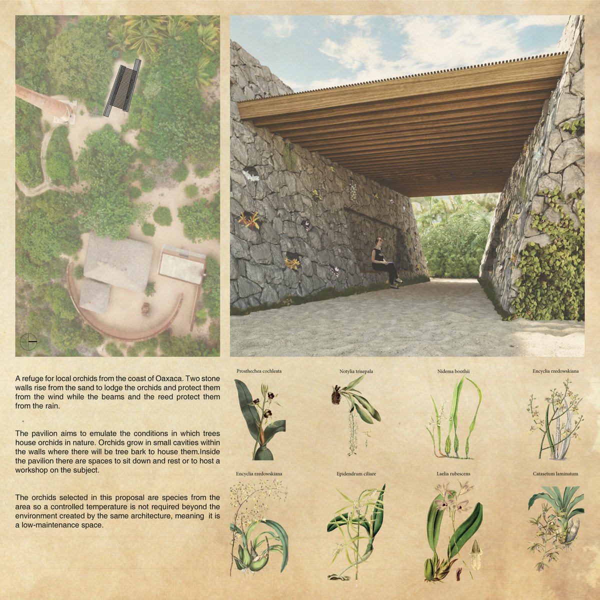 3ARCH's tweet photo. nuestra propuesta para el Orchid Pavilion de @casawabi 

En colaboración con https://t.co/Bqw3a7J1Cd https://t.co/wJoUu5oQtU
