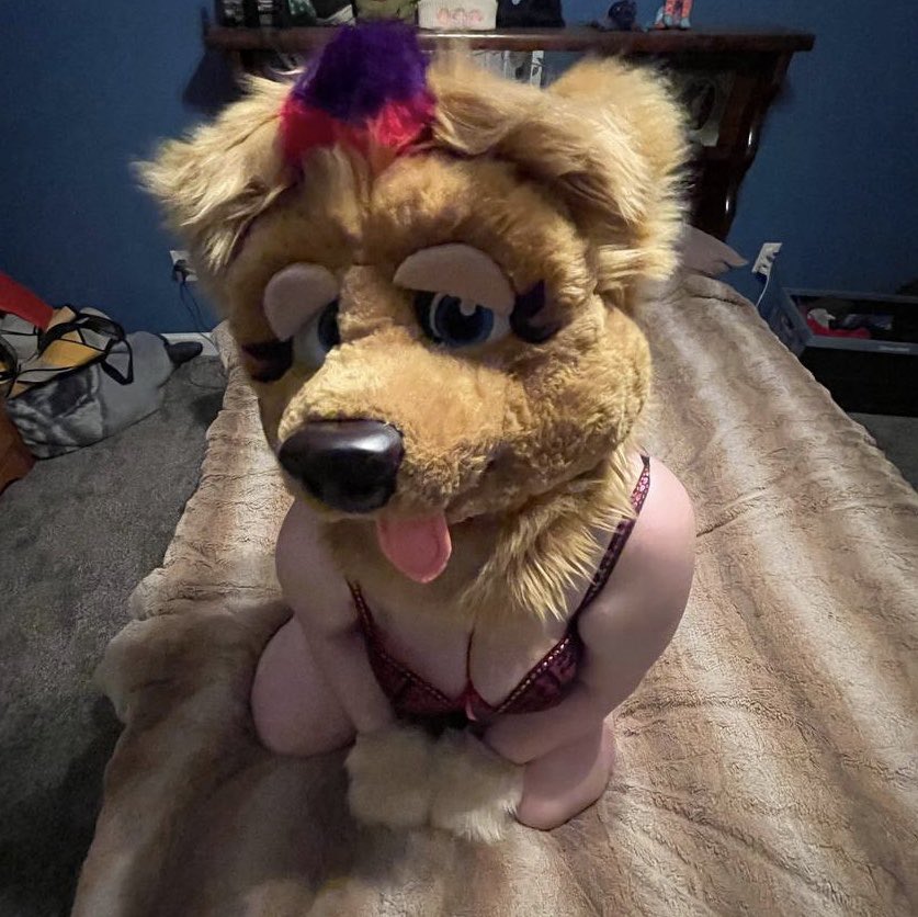 SizzleCatAD's tweet photo. What would you do with this gal? 🥺

Be honest 👀

#murrsuit #softsuit https://t.co/8xe3PtpFy7