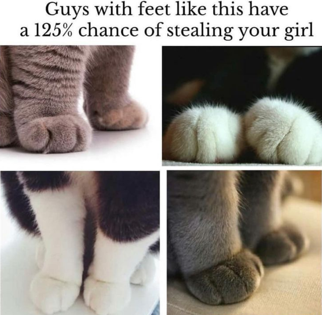WholesomeMemes (@wholesomememe) on Twitter photo 