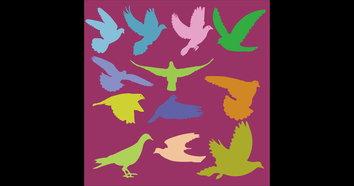 MagicBoxArt's tweet image. Latest Vector @VectorStock pigeon 2 #VectorStock vs2.page.link/oFEL