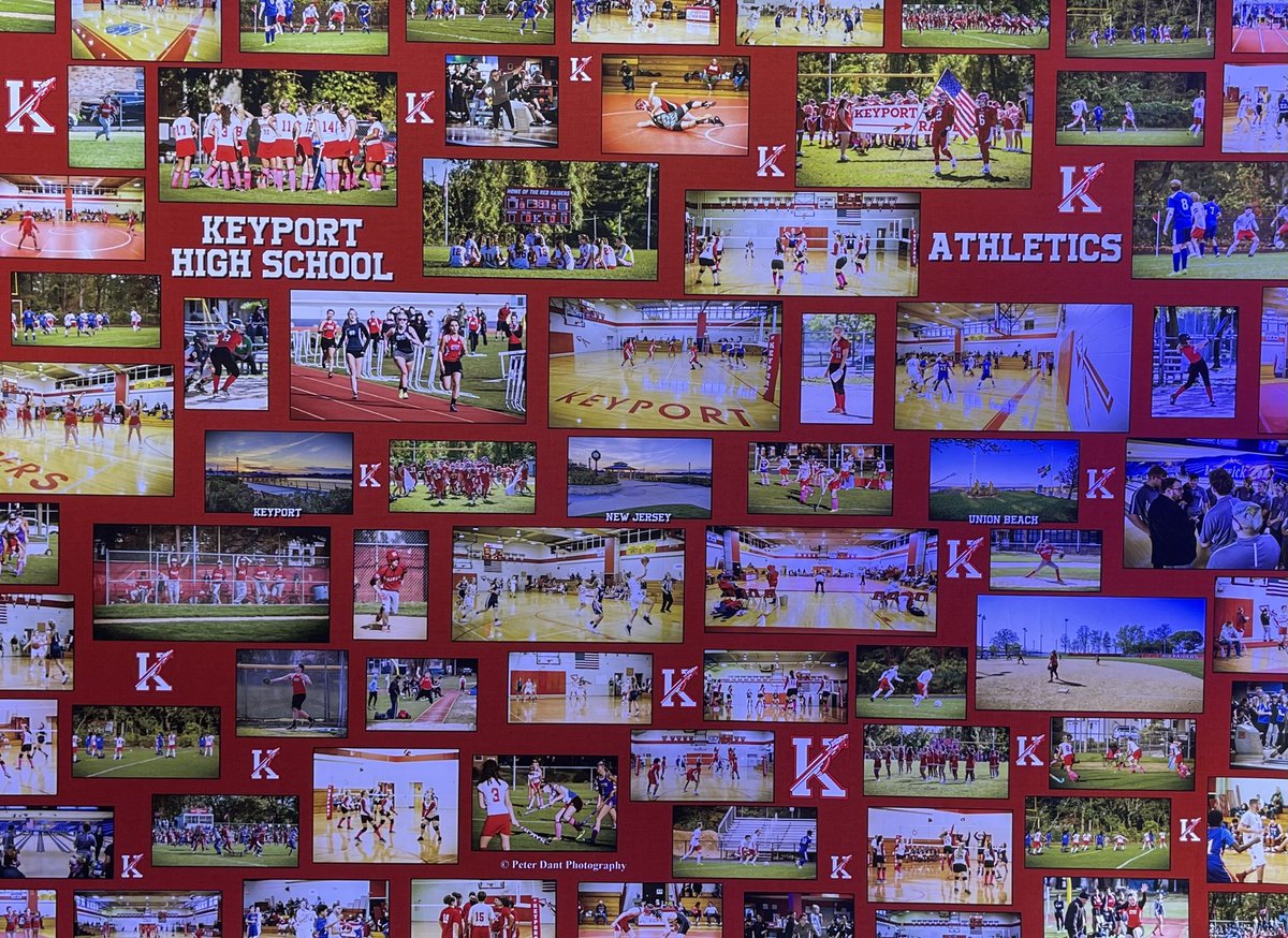 Stephanie Woit tweet media