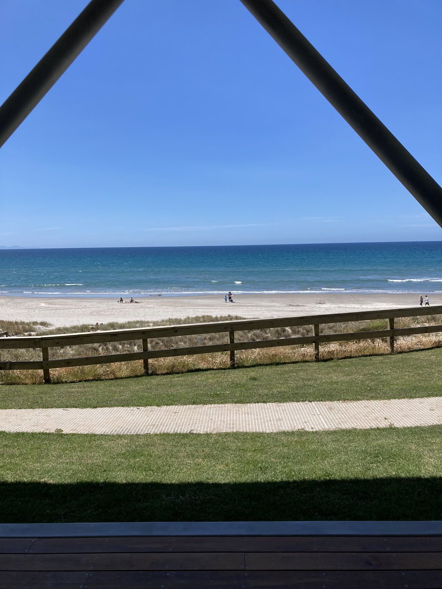 Sarah L Mitchell tweet media