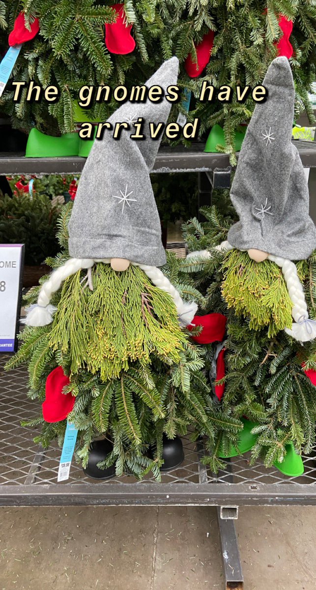 everydaykate's tweet photo. Arriving at Lowe’s !!! @BSedlatschek https://t.co/ry6Obs6ARF