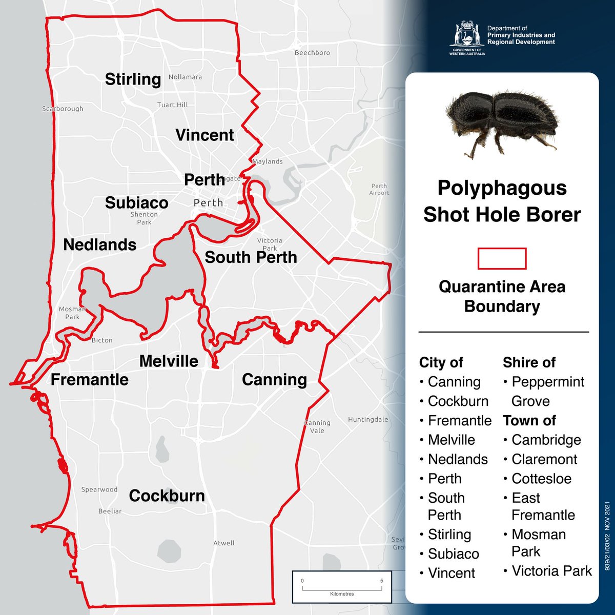 The City of South Perth is part of the quarantine area for an exotic pest called the Polyphagous shot-hole borer. People living & working in the quarantine area must not move any wood or plant material outside of the quarantine area. More info at bit.ly/3qkpA6N.