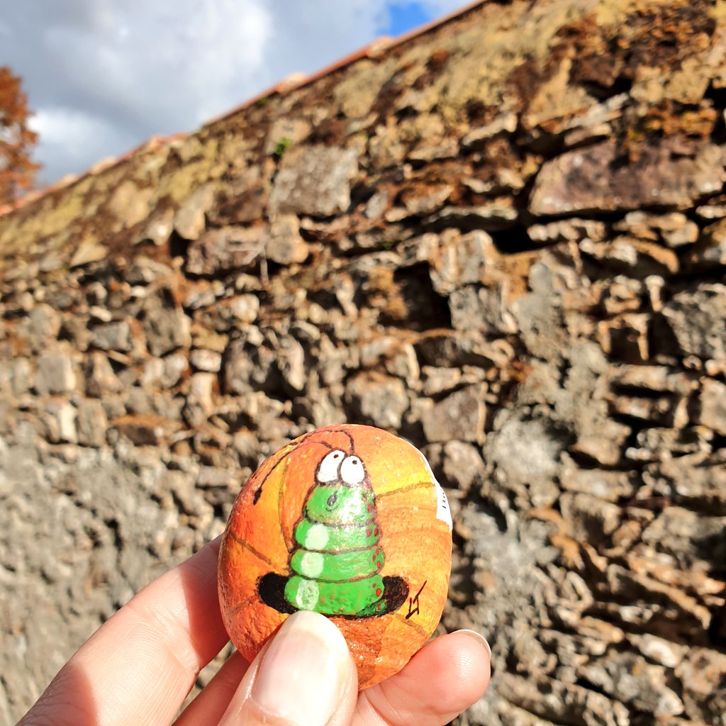 Une #pierre dans la pierre à retrouver au #Château pierre levée. Tout un programme ! #citrouille #Golf