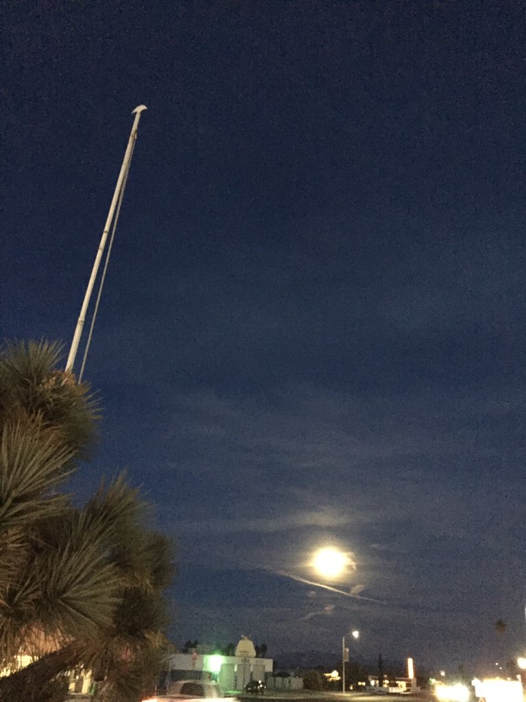 CecylRuehlen's tweet photo. Bounced over from the Sonoran desert to the Mojave, to land in 29 palms on the ecliptic full moon for High Desert Soundings festival! Come out LA buds! I’ll be performing Saturday (starts Friday). https://t.co/gz1XWHpxHM https://t.co/eenXc71u1k