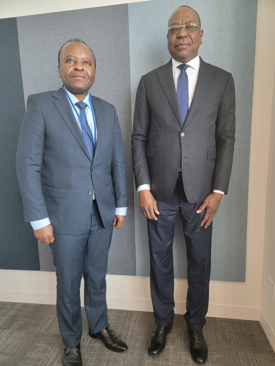 ManiratangaZph1's tweet photo. J'ai rencontré ce 18 novembre 2021 @ndiayemankeur, Représentant Spécial du Secrétaire Général des @UN et lui ai exprimé tout notre soutien à son mandat. Au centre de nos fructueux échanges, la contribution hautement appréciée du contingent burundais au sein de la @Minusca. https://t.co/mMdg7avt2n