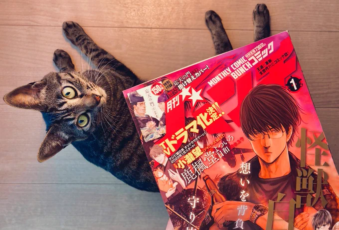 コミックバンチ(@Bunch_Shincho )1月号の見本誌が届きました。ディノサンも掲載していただいております。今回はベンケイの後編とイチゴの短編の二本立てです。発売は明日20日(土)です。よろしくお願いします🍓 
