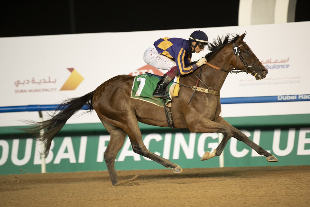 Then there were wins for Faithful Soldier <a href="/sammyhitch/">Sam Hitchcott</a>, Mulfit <a href="/GeorgeBuckell/">George Buckell</a> and Vasari <a href="/Antonio1Fresu/">Antonio Fresu</a> <a href="/tawfiq_barakeh/">Tawfiq mohammed barakeh</a>. 

#racingdubai 🏇

Photos: <a href="/Abdullaallahaf/">Abdulla Khalifa ابوخليفة</a>
