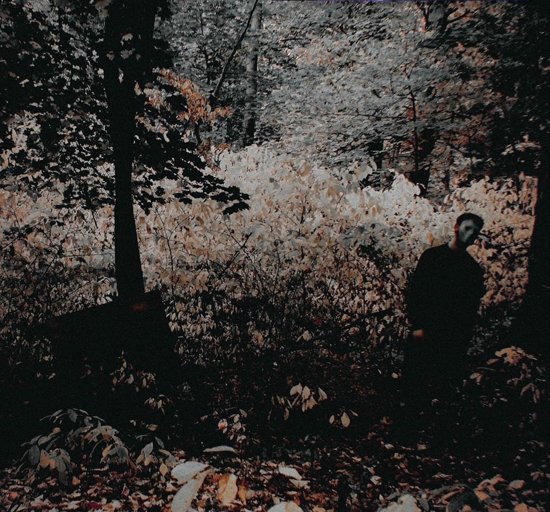 Biverly Memes tweet media