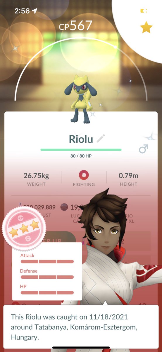 Acefranzen's tweet photo. Still in shock .. My first ever Shundo from egg hatch 😭 thank you to all my friends for the gifts during this event 🤯✨🎁 #Shundo #Riolu #PokemonGO https://t.co/pO6hwHjcVU