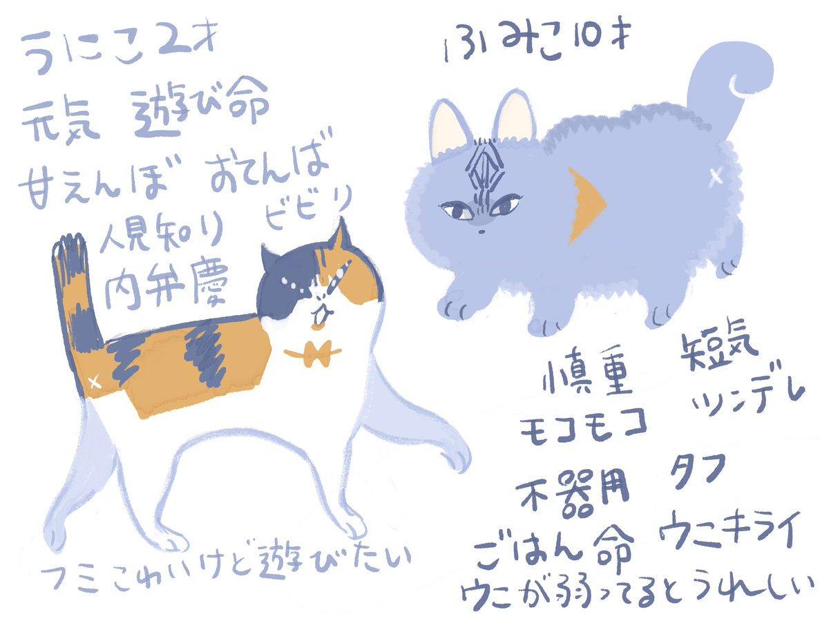 ふみうに 