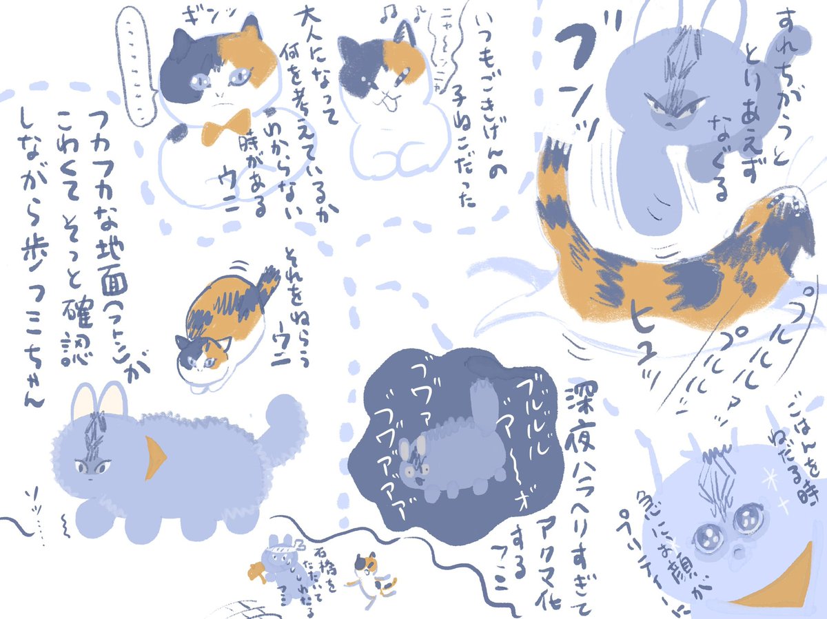 ふみうに 