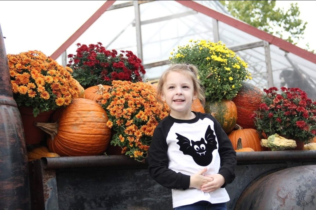 CuriousKidPod's tweet image. New Episode Alert - Episode 161: Curious About Pumpkins is out now!  Are pumpkins fruits or vegetables?  How are pumpkins grown?  Why are pumpkins associated with Halloween?  curiouskidpodcast.com