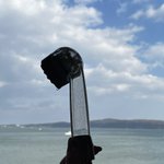 ツイートに含まれる画像