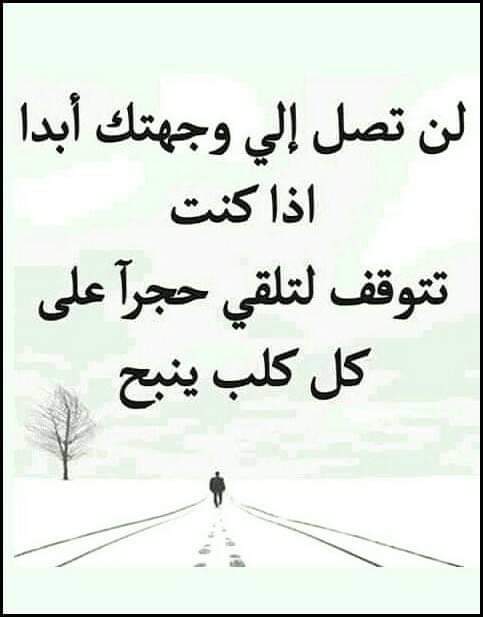 Ibrahim Khader (@ibrahimkhader18) on Twitter photo 
