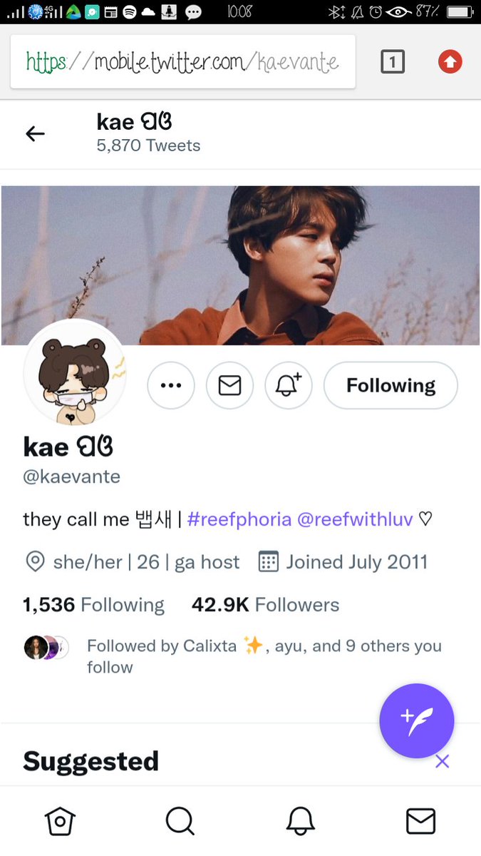 annemaye's tweet photo. @kaevante #reefphoria https://t.co/uwPuUrfwuc
