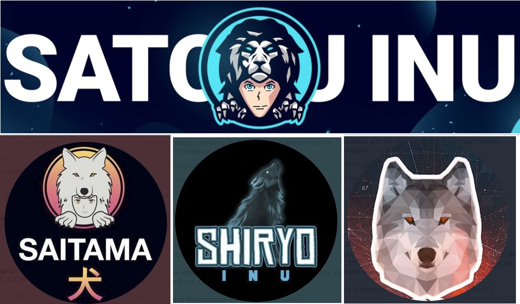 101crypton's tweet photo. A fan of Wolfpack, now joined the kingdom of Lion.

#SatoruInu
#SATOARMY 
.
.
#saitama #MononokeInu #TZKI #Shiryo #gm #Impactx #SaitamaInuWolfPack #KISHU #shiba #shib #NFTs #ZUKI ##Rajainu https://t.co/Q7Ob2CerMh