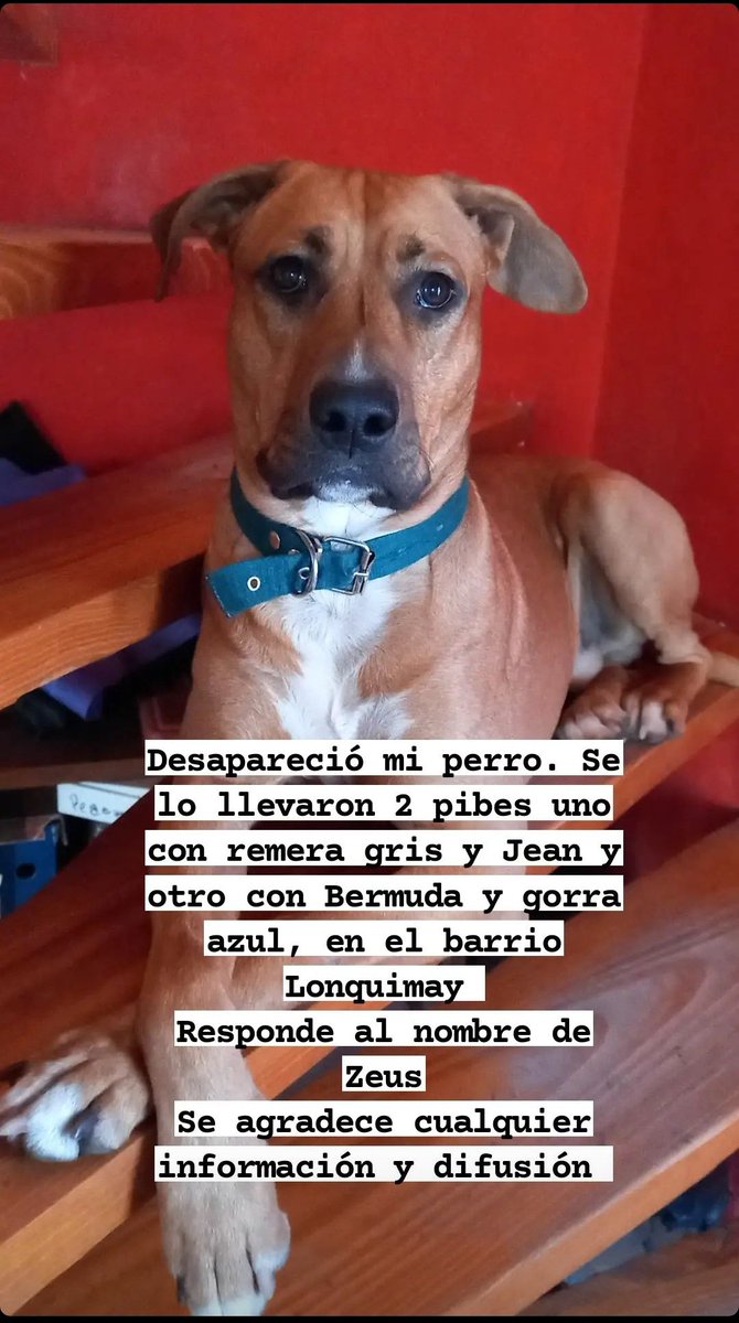 JuanseMedrano's tweet photo. Difundir por favor!! https://t.co/2VZZRabH9G