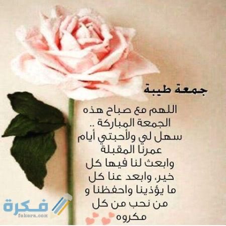 Aqeel Abdulqader tweet media