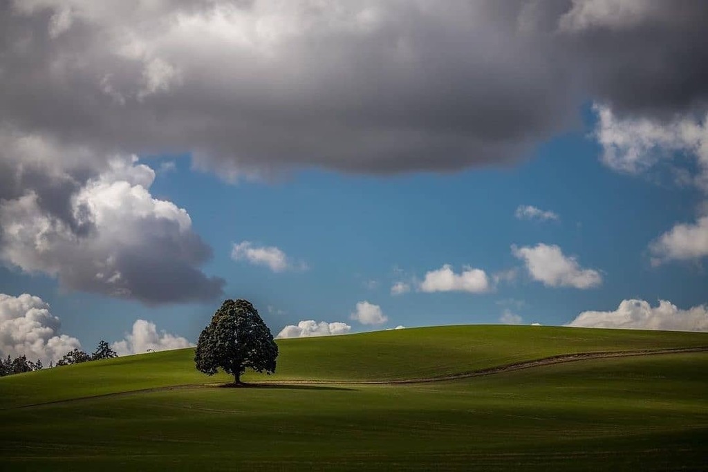 Oregonexplored tweet media