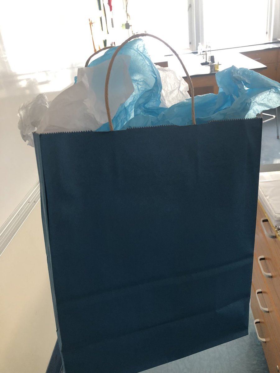 Sara Dominiak (she/her) tweet media