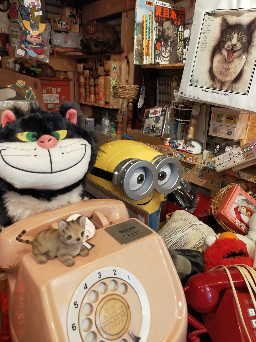 ねこの郵便局もディズニーストアには負けていられない ピンクが電話とルシファーの鼻だけでは弱すぎるか 左disny右ねこ郵 ディ 21 11 19 神楽坂ねこの郵便局というなまえのお店