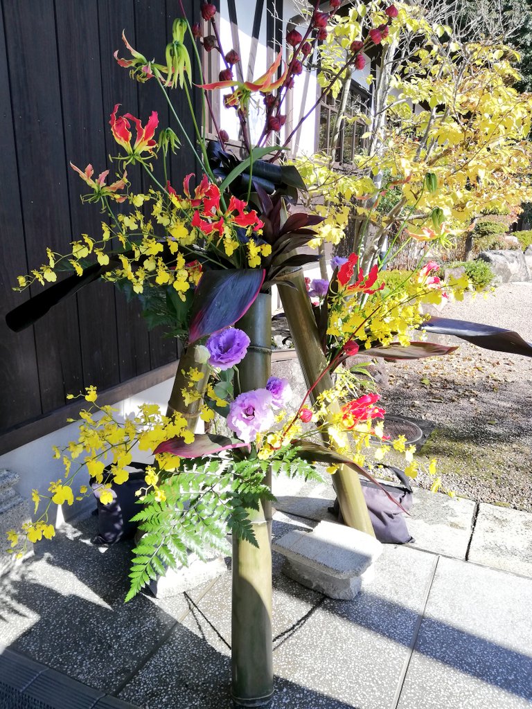 うるちまい Japonikamai Twitter うるちまい Japonikamai Twitter