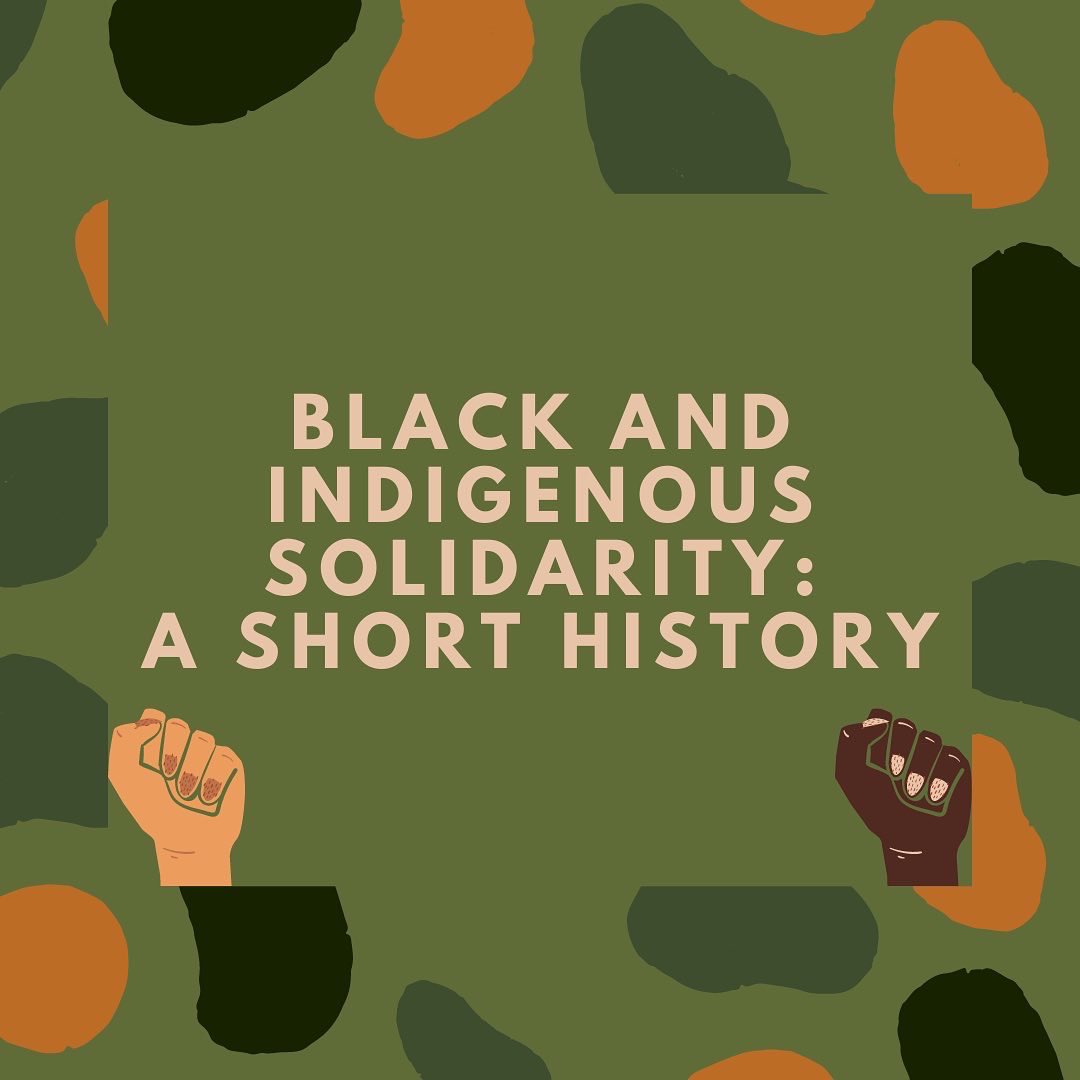 TandemEd's tweet image. Seeing as November is Native American Heritage Month we wanted to highlight Black and Indigenous #Solidarity!