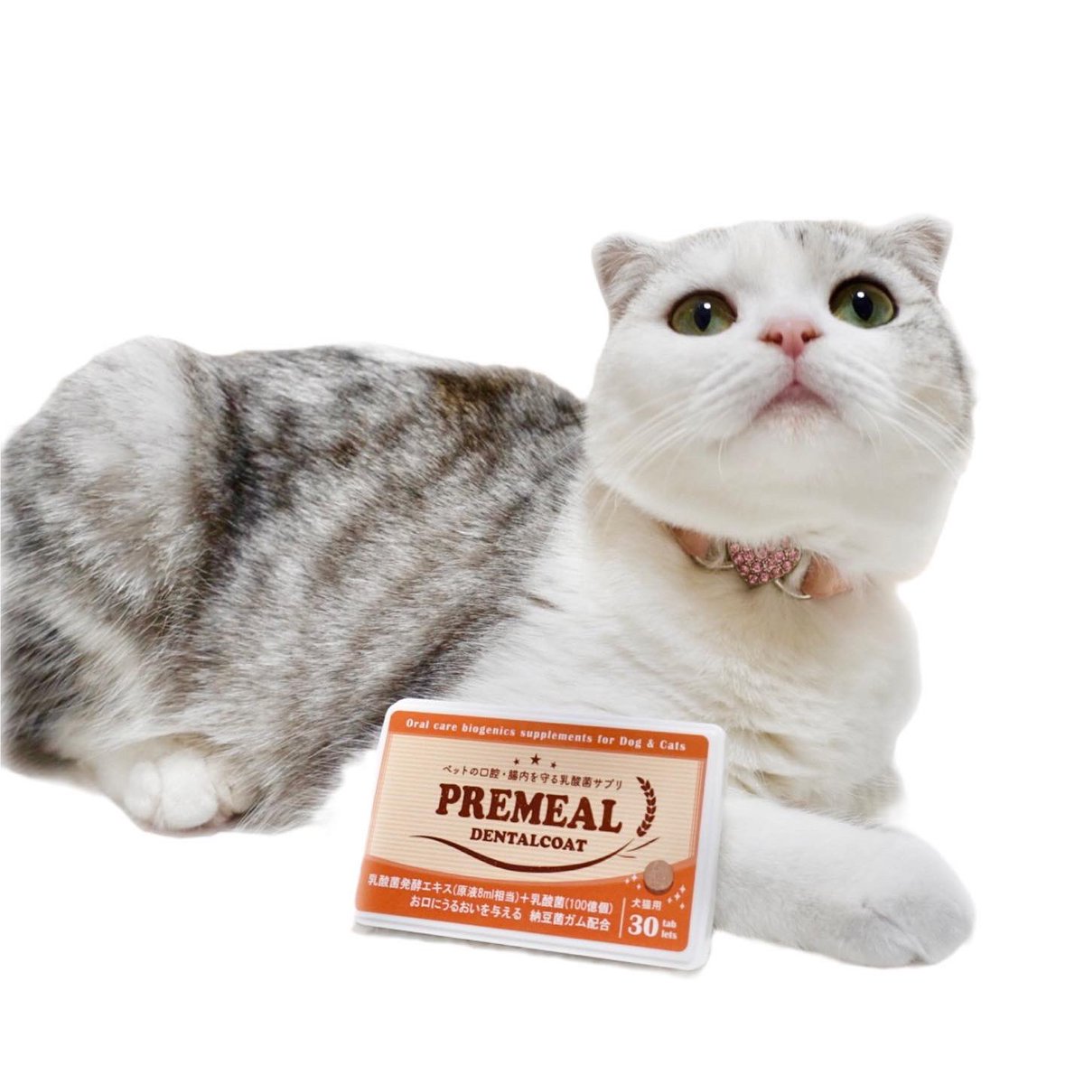 kawaii_ChocoMog's tweet photo. 16種類の乳酸菌サプリメント『PREMEAL』🧡
ちょこもぐ ちゃんもモニターとしてお試しさせて頂きました🐾
10日間毎日使ってみて、明らかに💩のキツい臭いがなくなりました！
これは、きっとお腹の調子が良くなって��るのでは？✨
#PREMEAL #プレミール #デンタルコート #乳酸菌発酵エキス https://t.co/xtJkIYxqGX