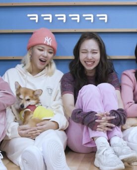 2yeonthinker's tweet photo. so cute https://t.co/HajITYUFlp