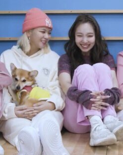 2yeonthinker's tweet photo. so cute https://t.co/HajITYUFlp
