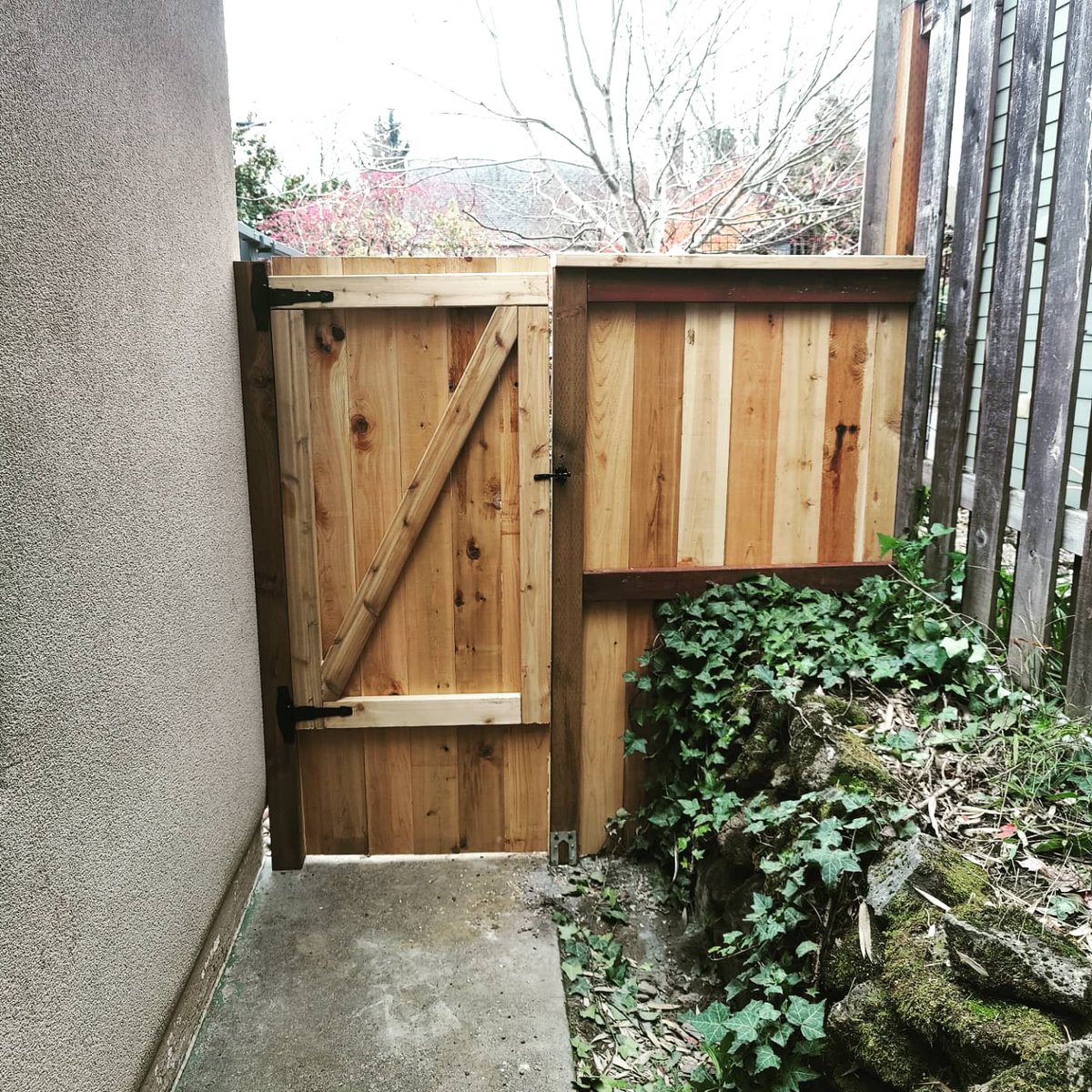 Wrapped up another one today! Cedar deck, patio cover, and fence.
.
.
.
.
.
#carpenterguynw #deckdesign #deckbuilding #cedar #pnw #woodworker #carpentry #fences #patiocover #dewalt #suntuf