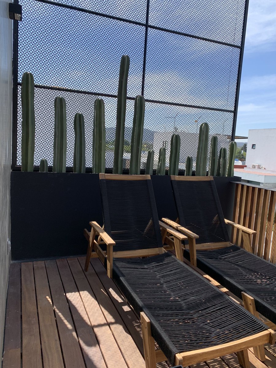 gdl_sr's tweet photo. Asi nos quedó el #Roof con sus 15 #cactus 🌵💚 
#CactusMéxico #CactusGuadalajara #SrCactusGdl #Interiorismo #Paisajismo #Architecture #CactusMx https://t.co/vSCcQc6PR5