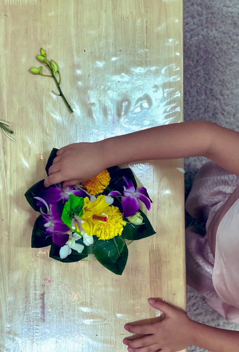 Katherine Hansen tweet media