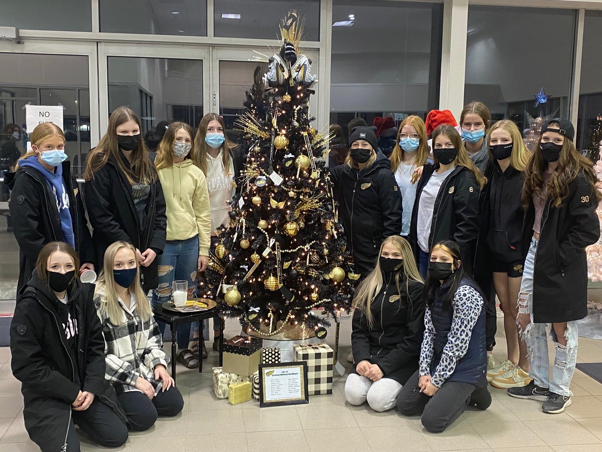 South East Goldwings did up a tree for the Festival of Trees event this year. Stop by Barber Motors and check it out and you can bid on it during the silent auction on Nov 25th.