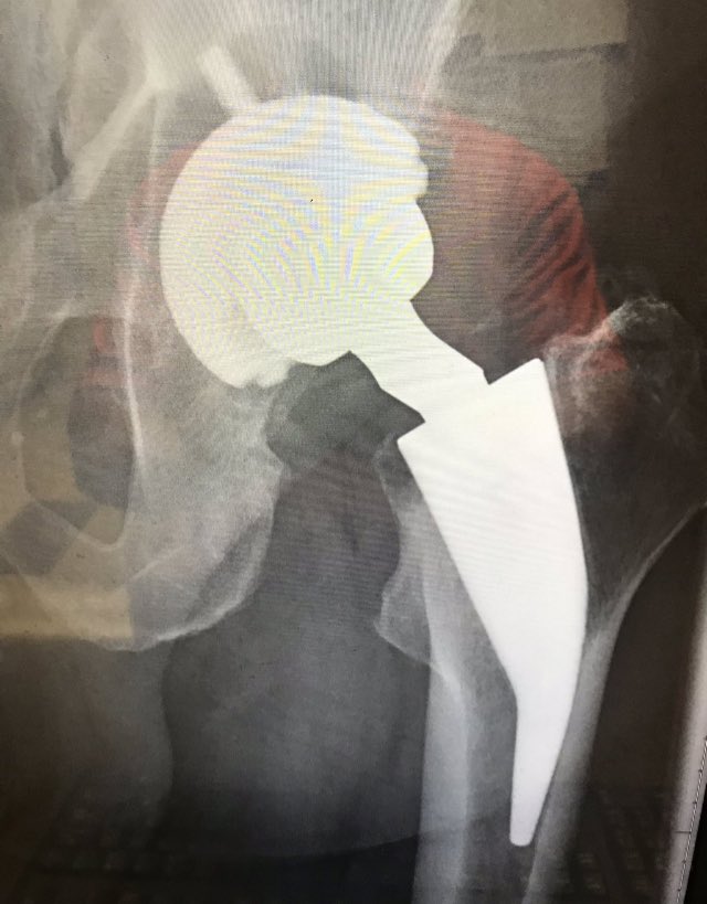 disasterplasty tweet media