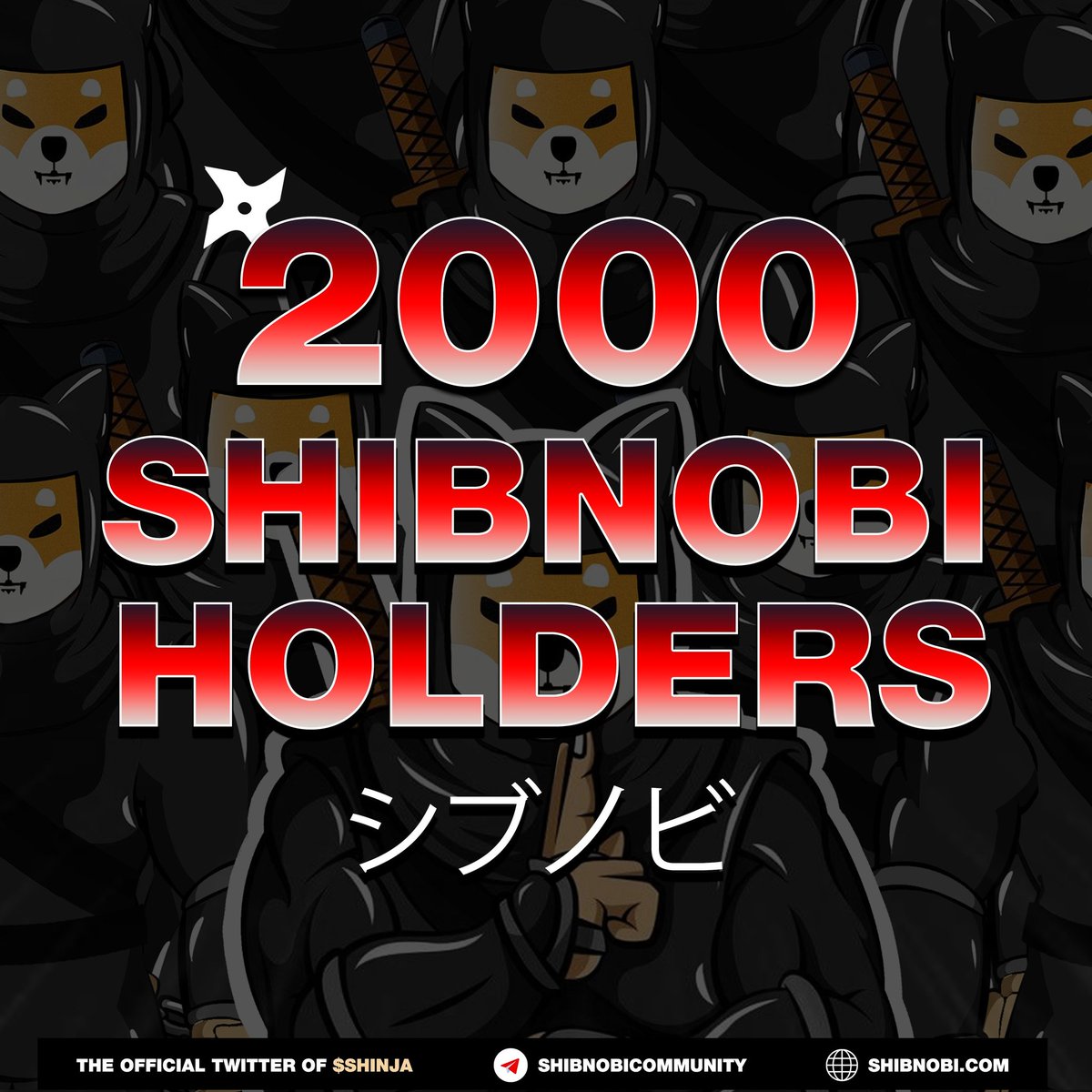 DJZeusman's tweet photo. @Shib_nobi #djcrypto #shibnobi @1goonrich https://t.co/akFlGaNkQV