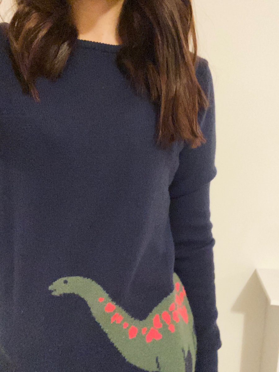 My third and final Dino Friday of #knitwearnovember . This one is really hard to photograph (and also the Dino goes around the back too 🦕). Obviously from <a href="/SugarhillBTN/">Sugarhill Brighton</a> !