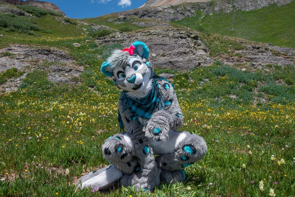 in my happy place 🥰💙 photo by @theNikoDog