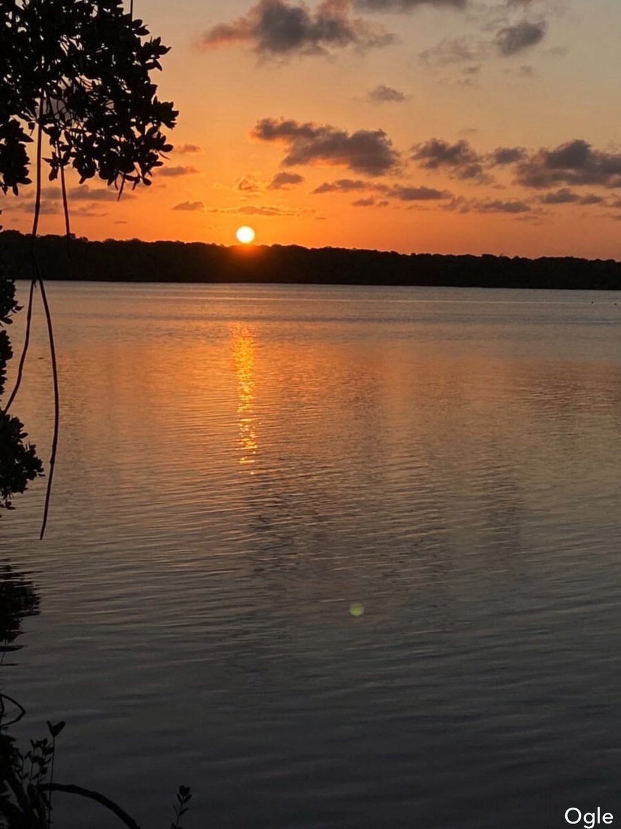 king_ogle's tweet photo. Sunset View 🌅
📍Watamu https://t.co/4yD3bejGm1